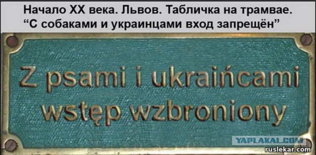 Подборка интересных и веселых картинок