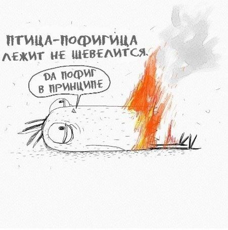 Угадайте кого я встретил