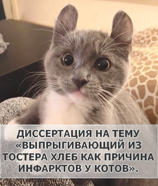 Хозяйке на заметку