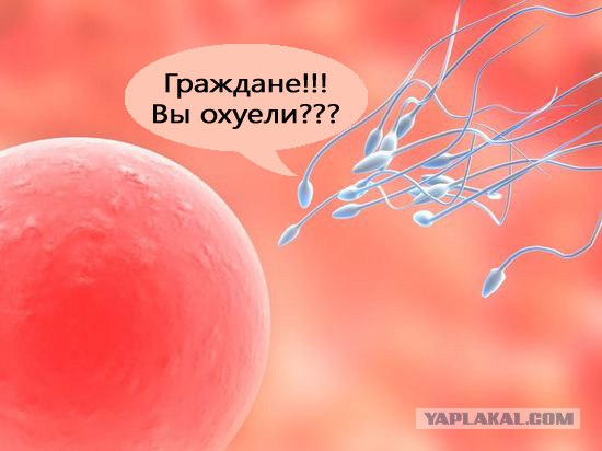 Фотожаба: Граждане!