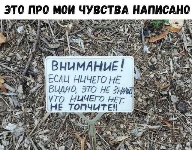 Бредзона 02.09.20