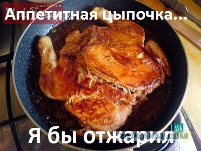 Фотожаба: А ты?