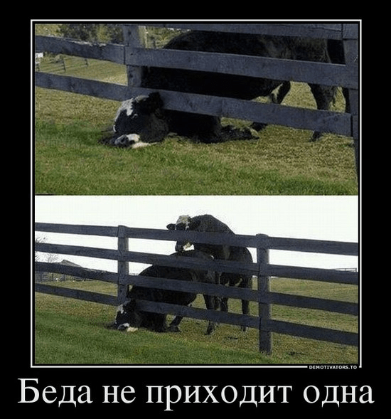 Воспользовался ситуацией в корыстных целях