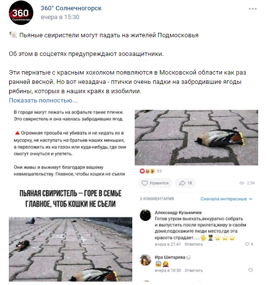 В Питере пить