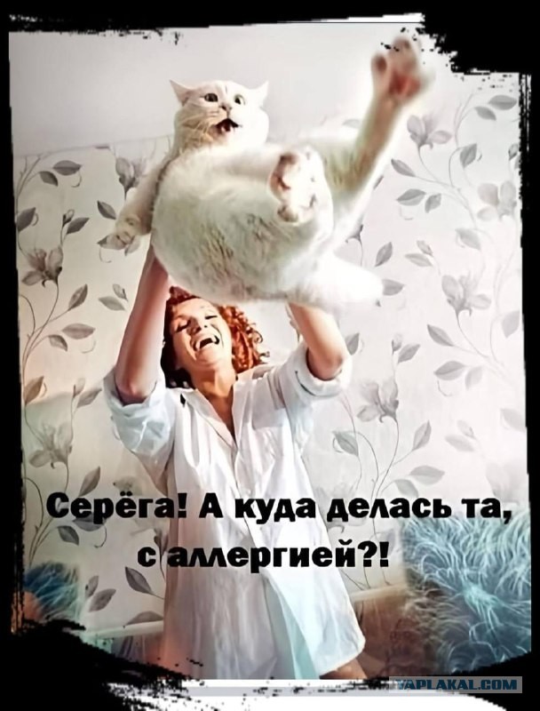 Весёлый полтишок 14.06.22