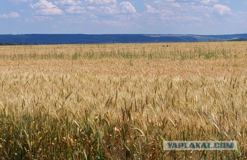 Приднестровье