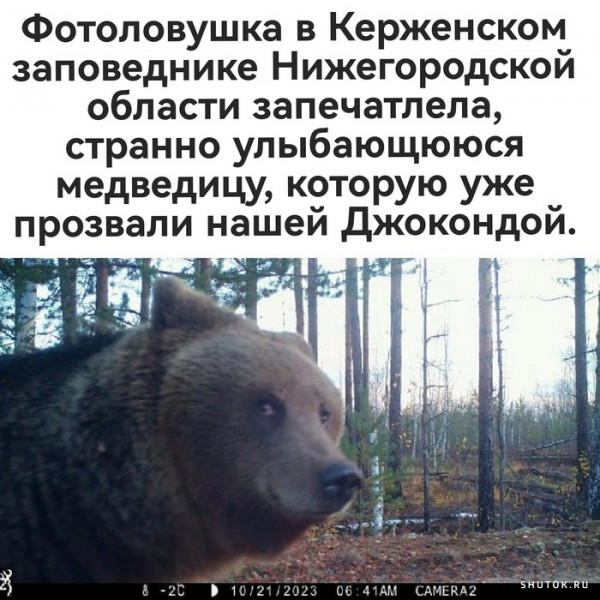 Химия и жизнь