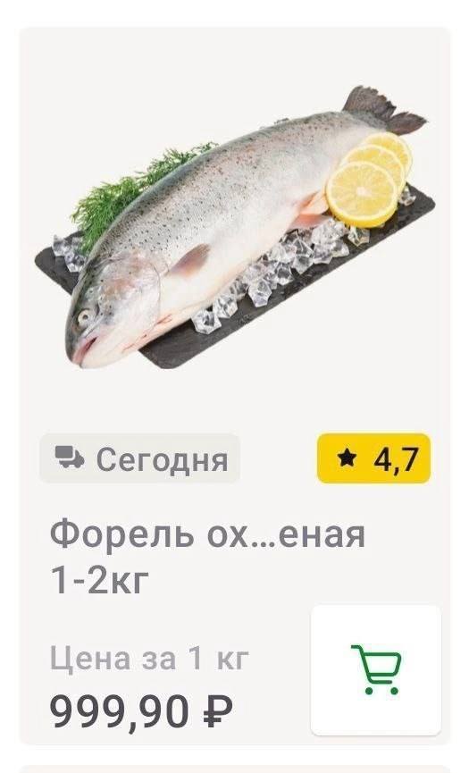 Забавные комментарии из социальных сетей (29.01.24)