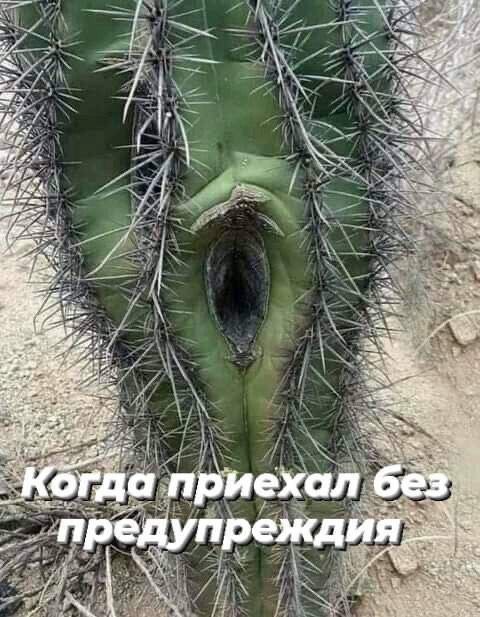 Так себе картинки 09.04.24