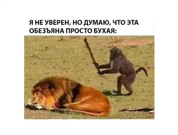 Онанизм мужа