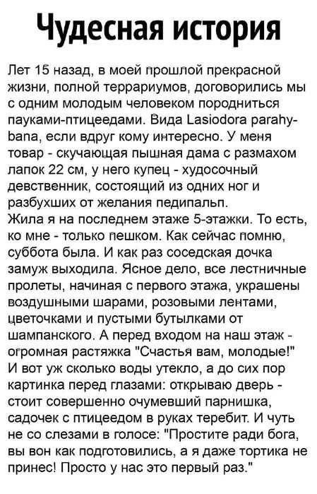Так себе картинки 29.04.25