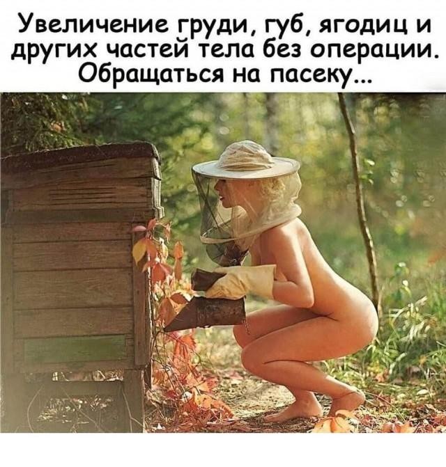 Субботние мысли