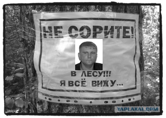 Все под контролем - проверит лично!