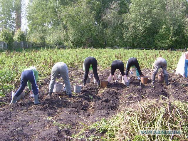 Есть только одна сила!
