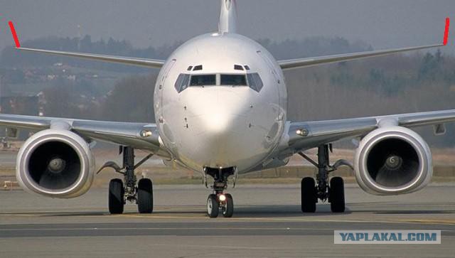 Установка sharklets на Airbus A-320 S7 Airlines.