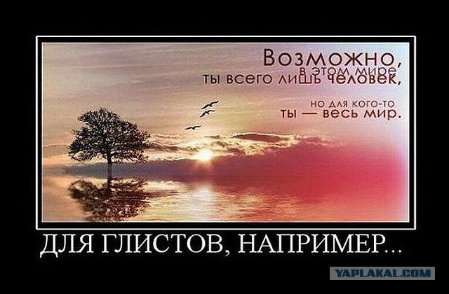 С миру по нитке. Демотиваторов чуть