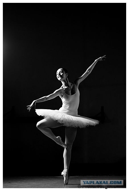 Рыбалка не удалась.