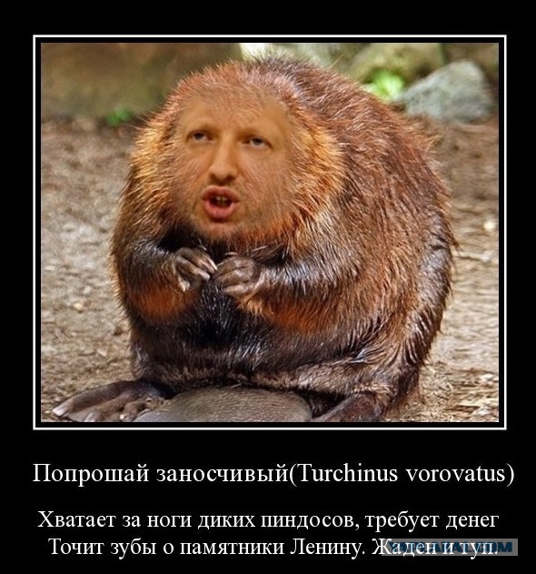 Фотошопная "фауна" Украинской Рады