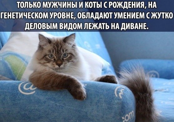 Пятничная подборка