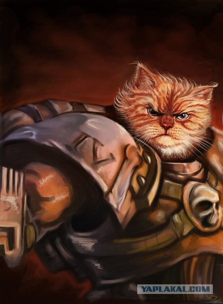 Которыцарь.