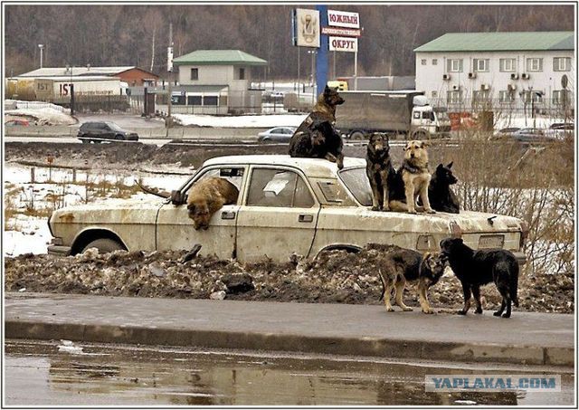 Картинки разные