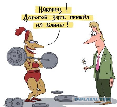 «Проклятие тёщи»