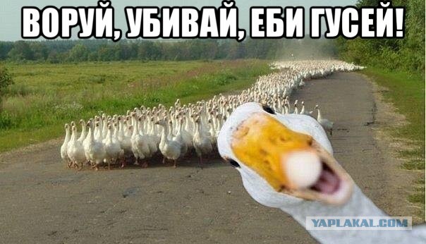 Налог для малого бизнеса вырастет на 16%
