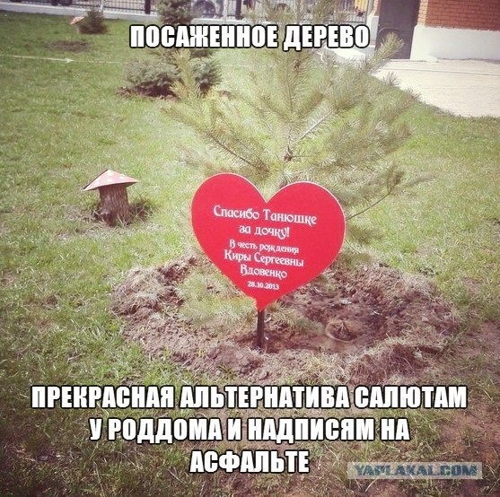 Веселые картинки