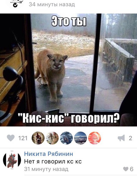 Ужасы и приколы из соцсетей 18+