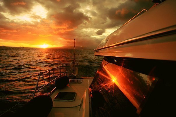 Подборка интересных и веселых фото