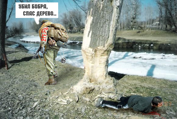 Фотожаба: Почувствуй себя бобром!