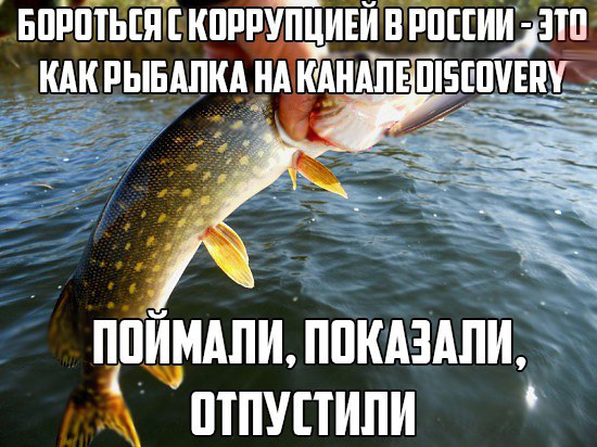 Подборка интересных и смешных картинок