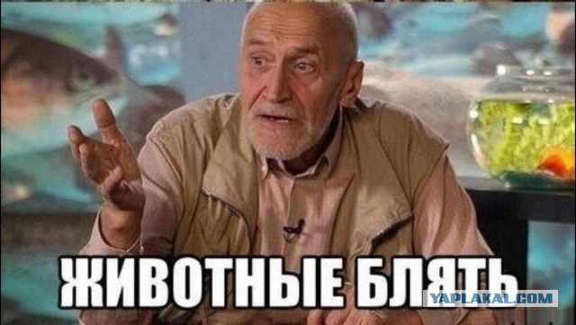 Развлекуха для женщин