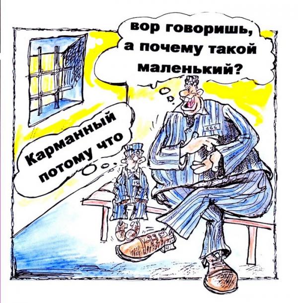 Мастер высочайшего воровского класса