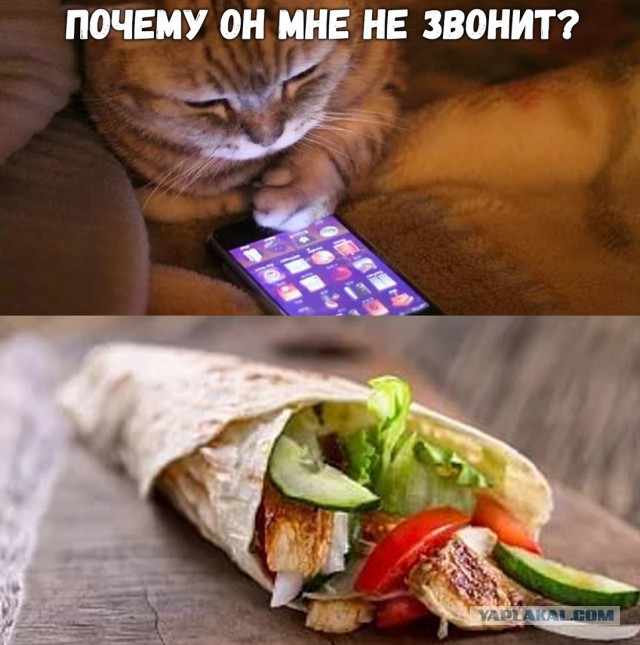 Аморальный и чёрный юмор к началу недели