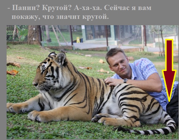 Алексей Панин согласился заменить Малахова на Первом за «хорошие деньги»