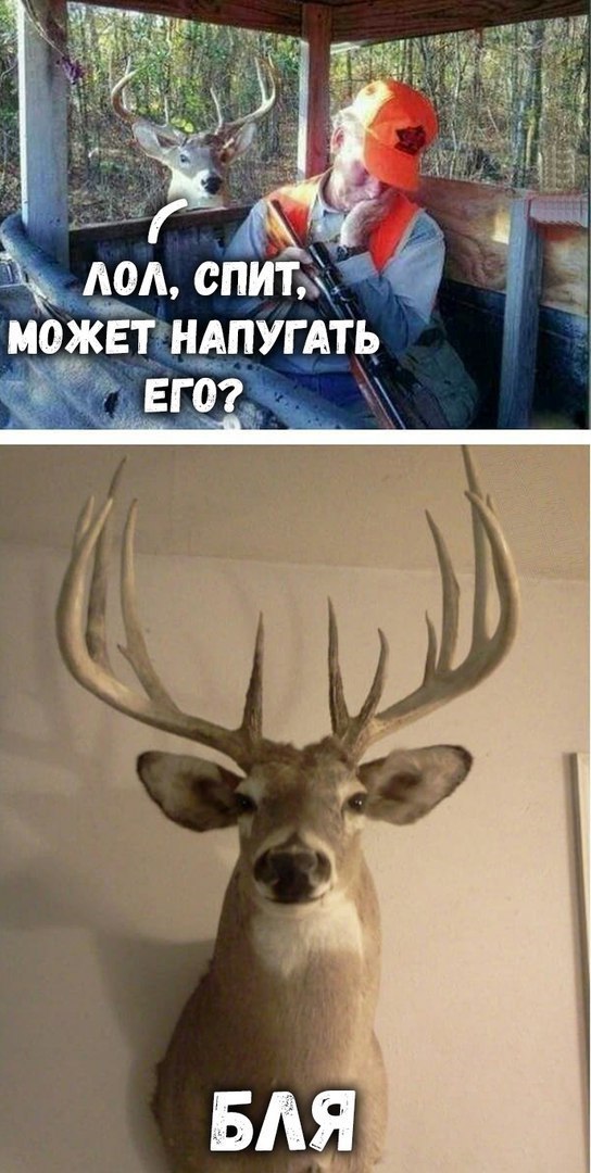 Немного картинок в этот вторник