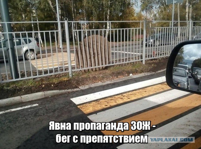 Подборка интересных и веселых картинок 16.10.18