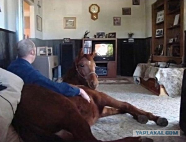 объяснение. конечно, прошу Красивые попы девушек фото допускаете ошибку