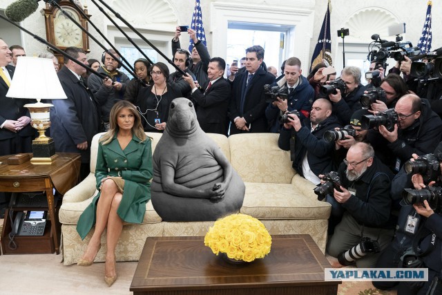 Меланья Трамп