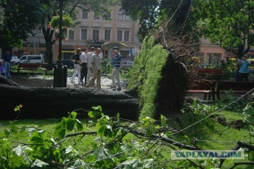 Ураган во Львове.