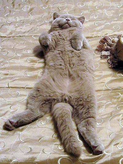 10 фактов о человеке, которые мало кто знает