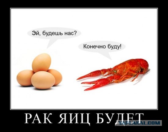 Древние мемы с ВК. Для тех кто забыл #5