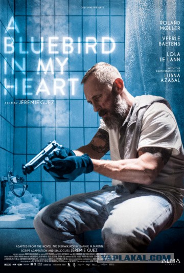 Фильмы, которые стоит смотреть, смотрим сами и советуем другим