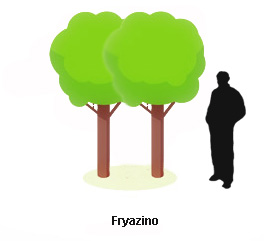 Фотожаба: Дерево и наркотики