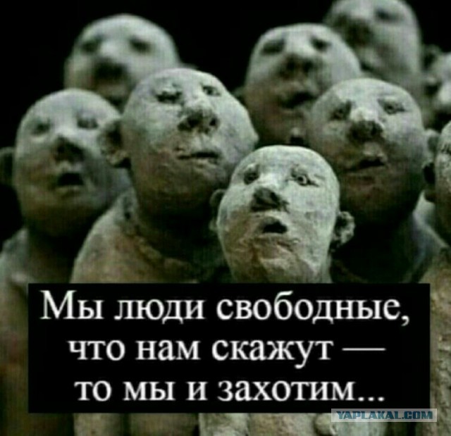 В кого мы превратились?