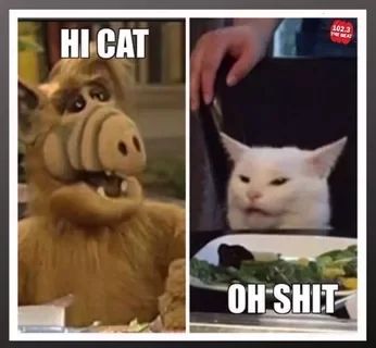 Картинки с надписями и котами