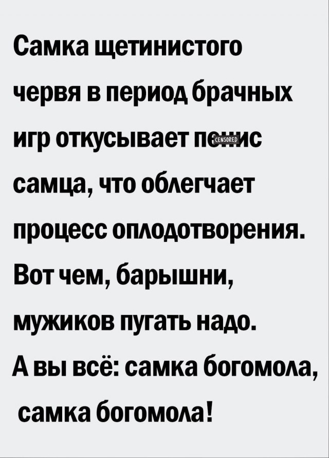 Немного картинок разной степени новизны и адекватности - 5