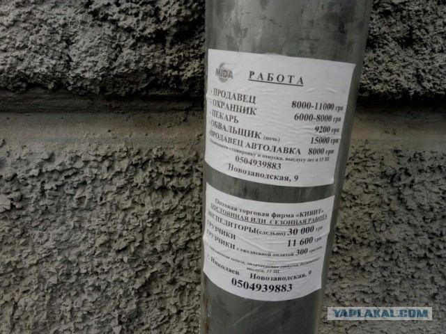 «Найдены со следами жестоких пыток». В Донбассе расследуют преступления ВСУ