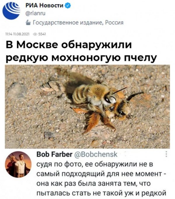 Картинки и мемы для настроения 12.08.2021